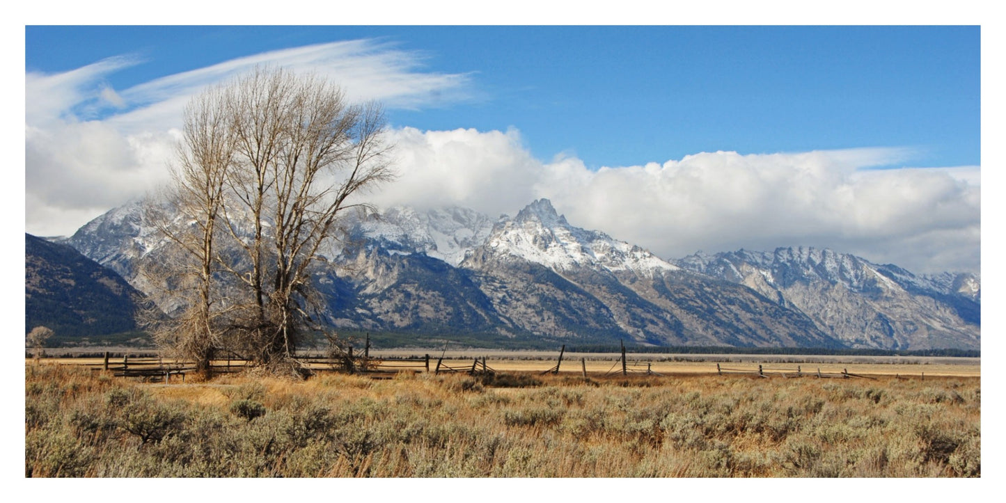 Tetons at Mormon Row