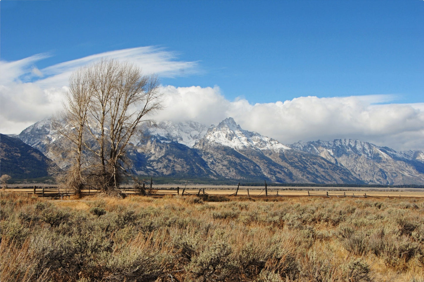 Tetons at Mormon Row