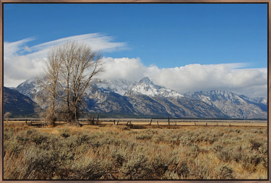 Tetons at Mormon Row