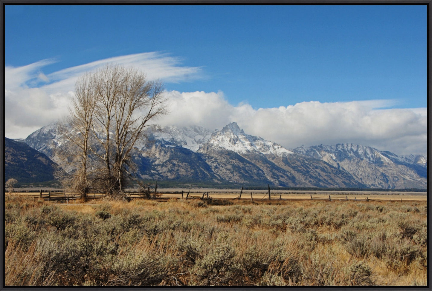 Tetons at Mormon Row