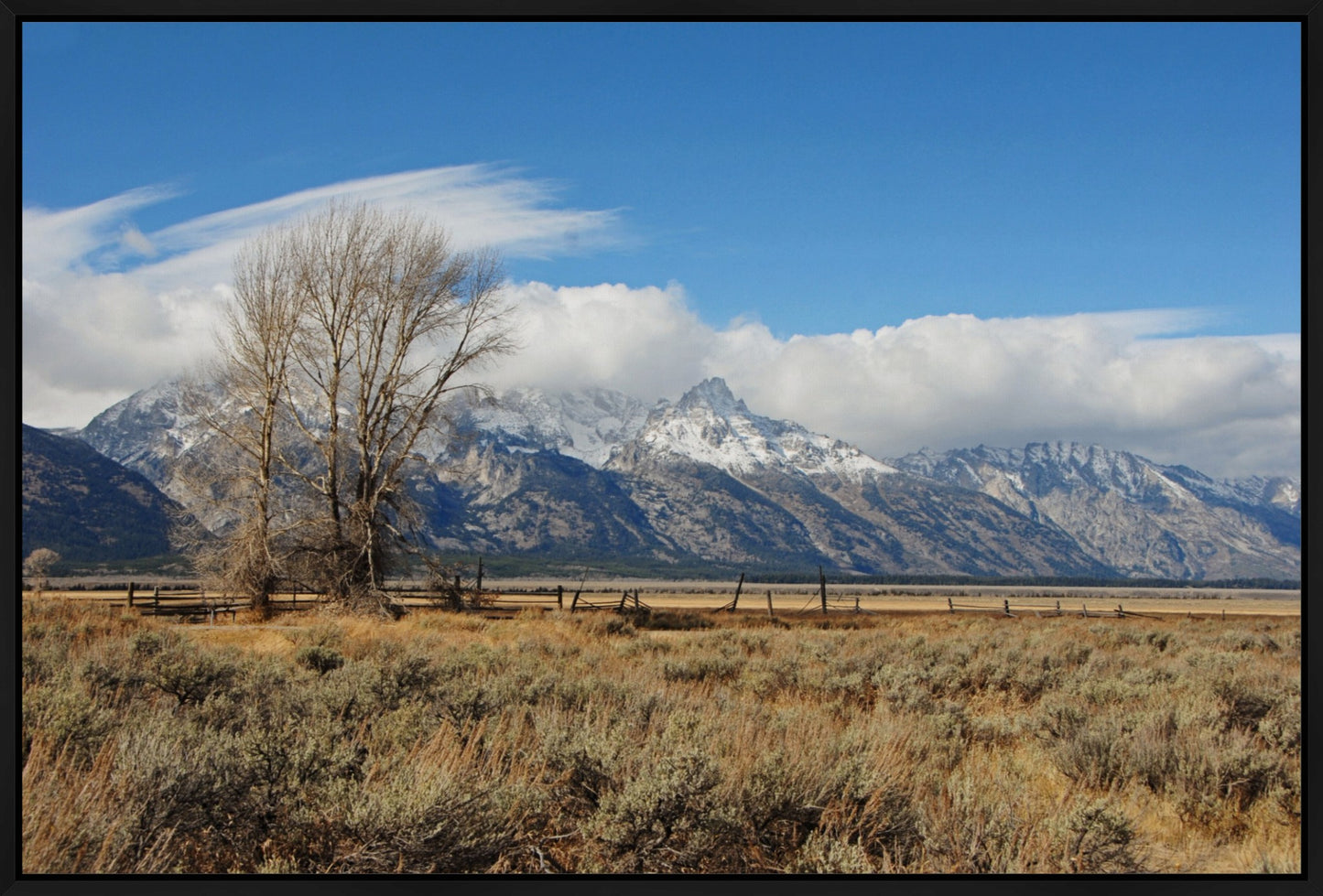 Tetons at Mormon Row