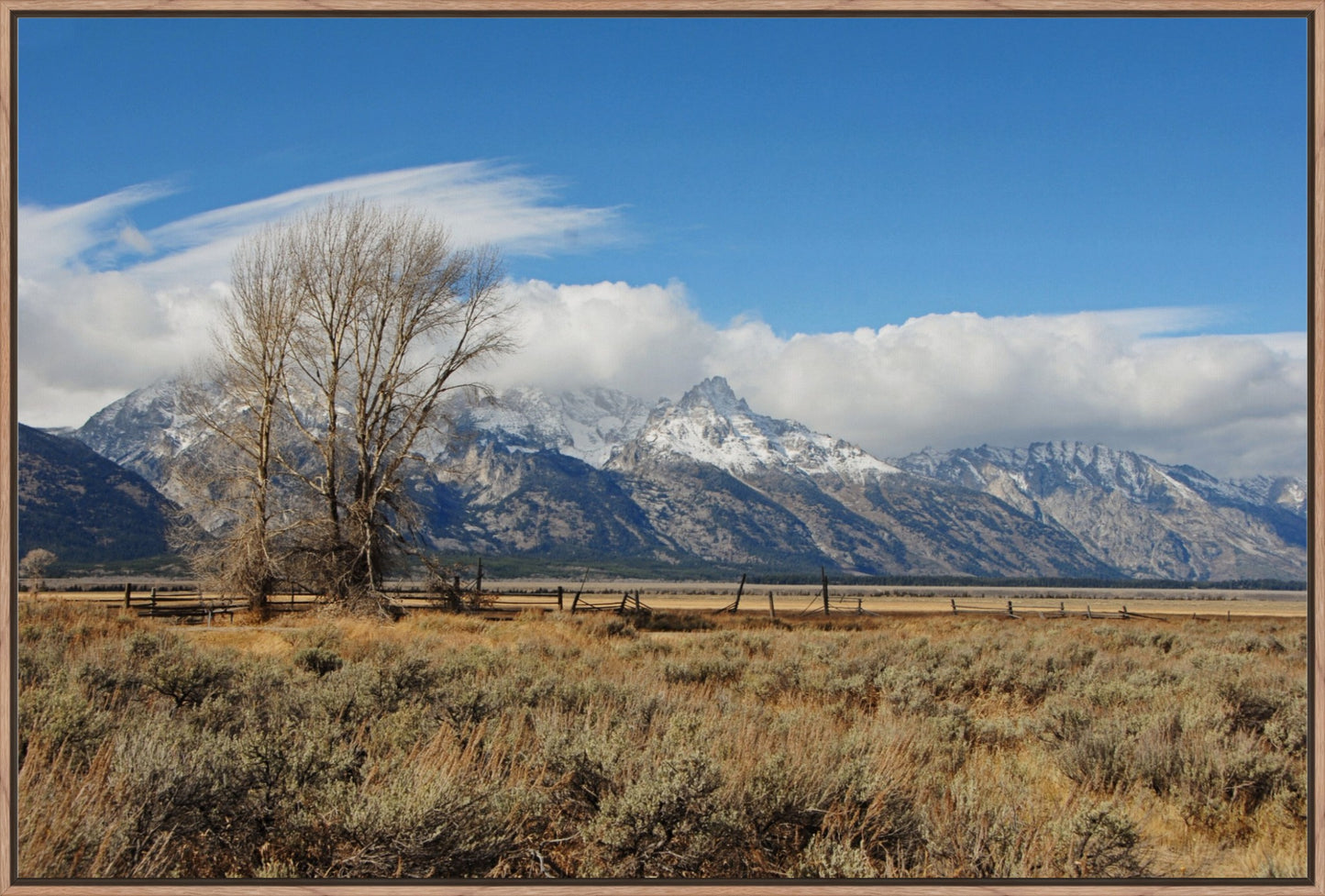 Tetons at Mormon Row