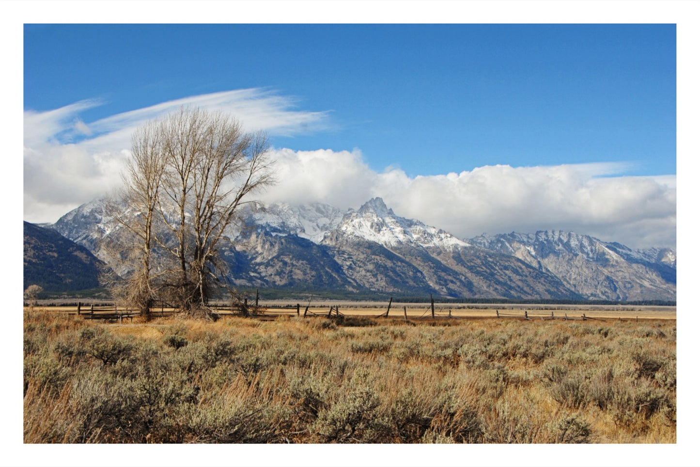 Tetons at Mormon Row