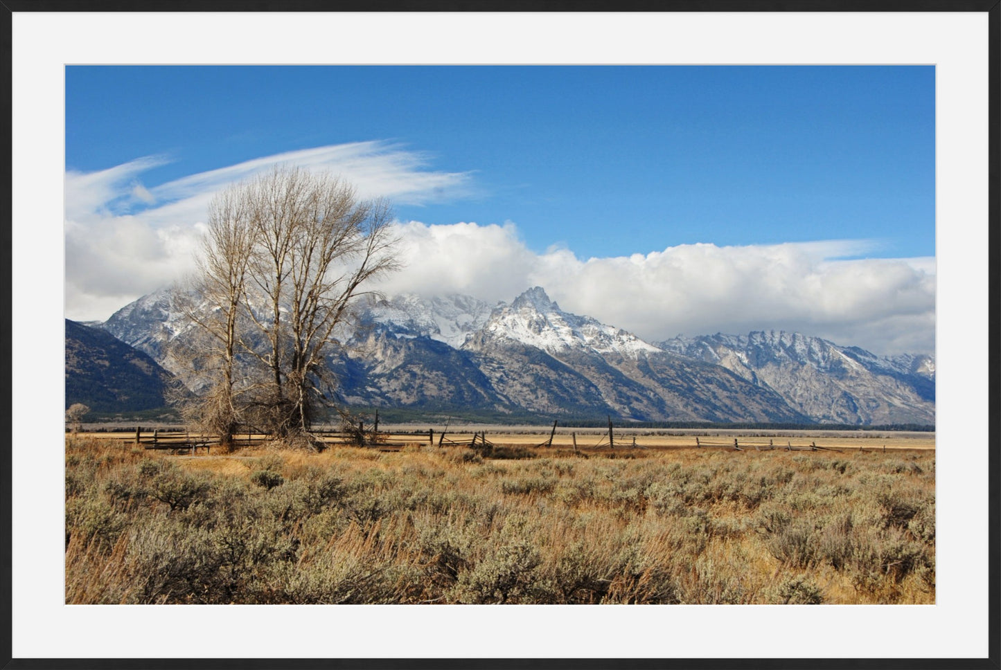 Tetons at Mormon Row
