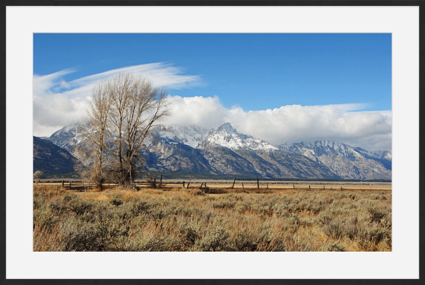 Tetons at Mormon Row
