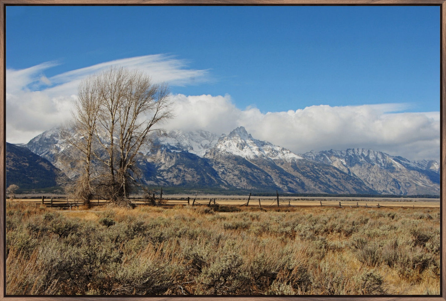Tetons at Mormon Row