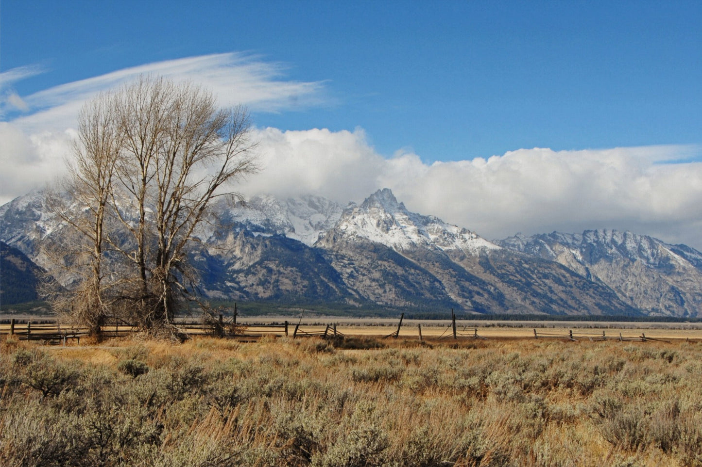 Tetons at Mormon Row