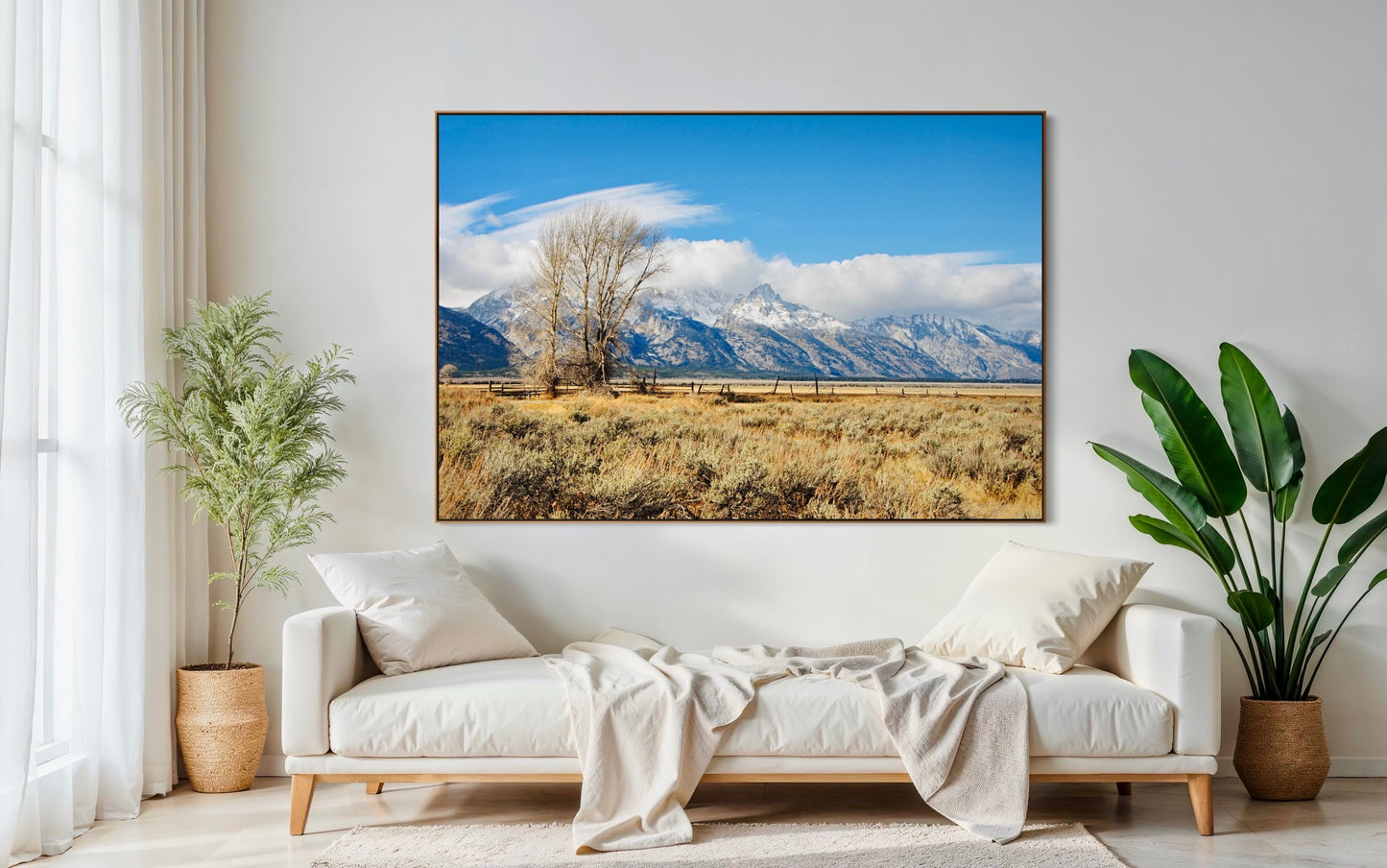 Tetons at Mormon Row