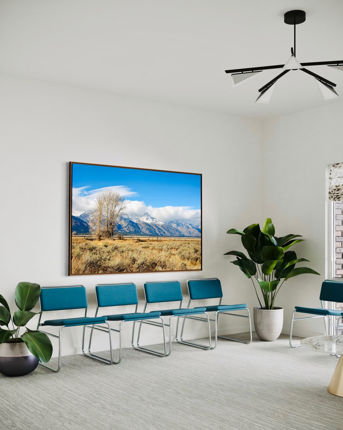 Tetons at Mormon Row