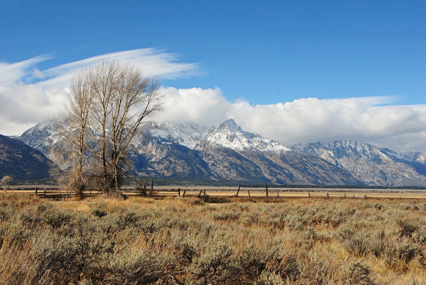 Tetons at Mormon Row